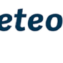 figura-19-logotipo-del-paquete-de-software-meteonorm.png
